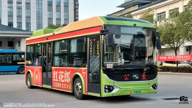 800BUS