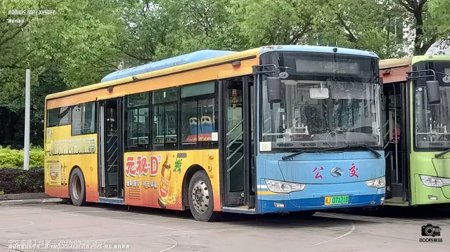800BUS