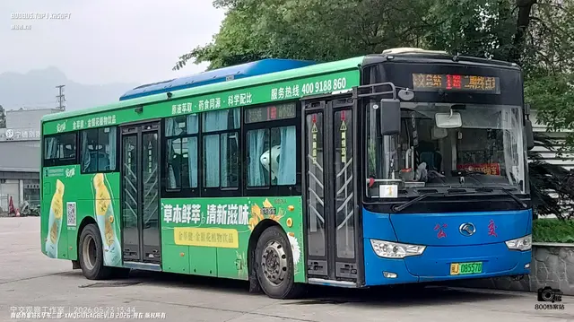800BUS