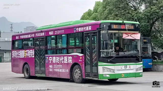 800BUS