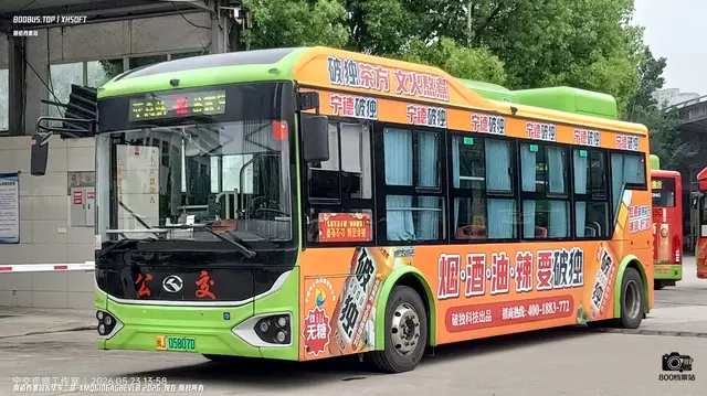 800BUS