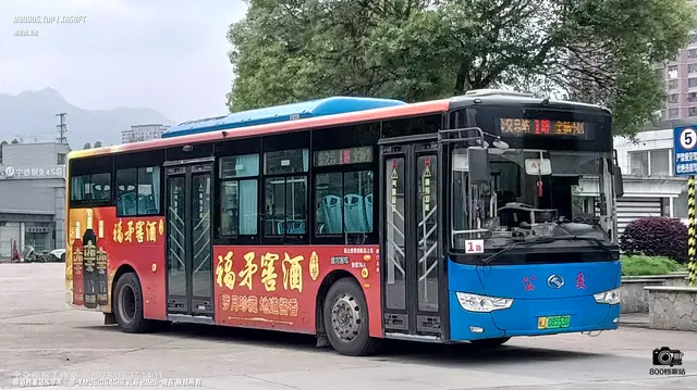 800BUS