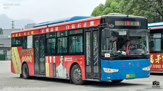 800BUS