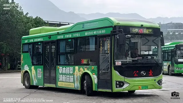 800BUS