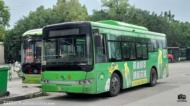 800BUS