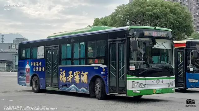 800BUS