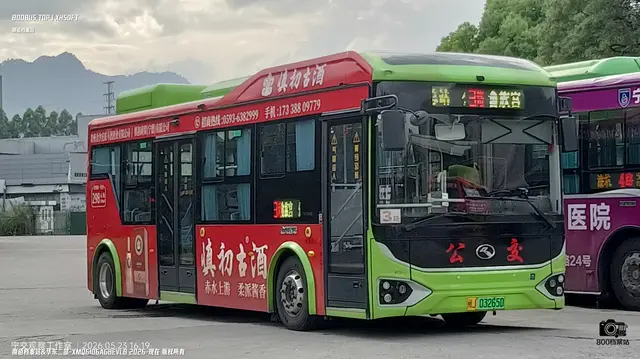 800BUS