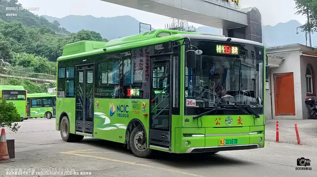 800BUS