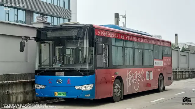 800BUS