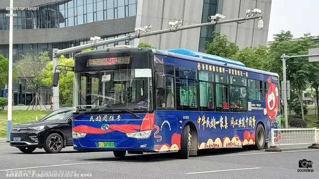 800BUS