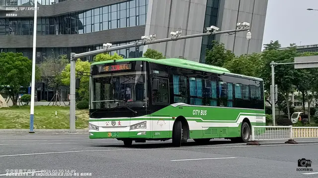 800BUS