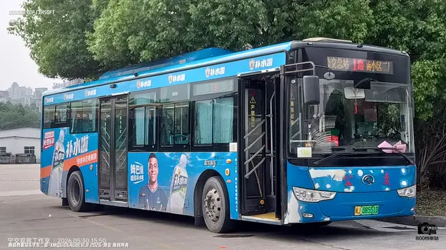 800BUS