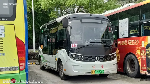 800BUS