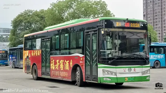 800BUS