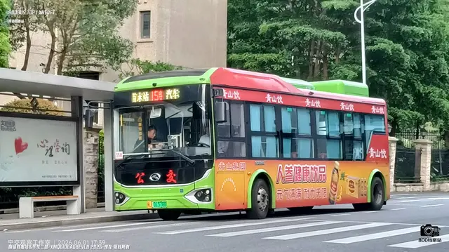 800BUS
