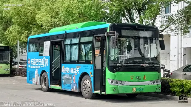 800BUS