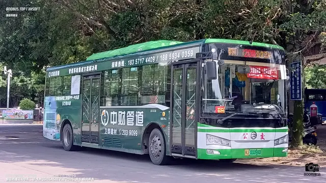 800BUS