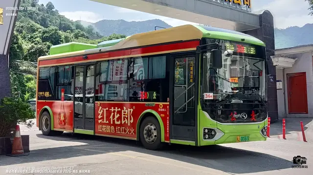 800BUS