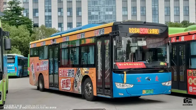 800BUS