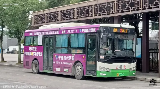 800BUS