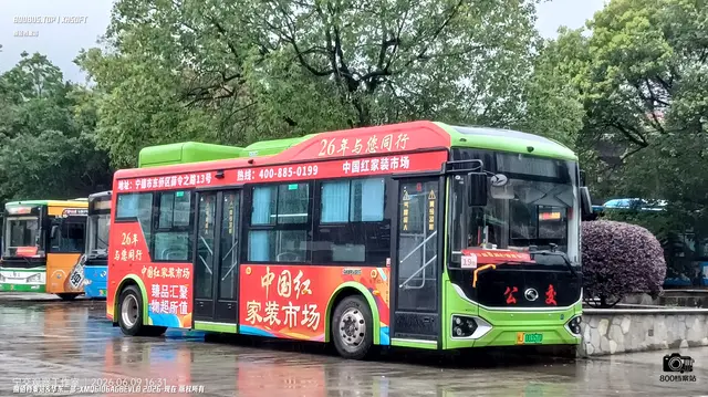 800BUS