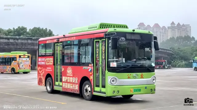 800BUS