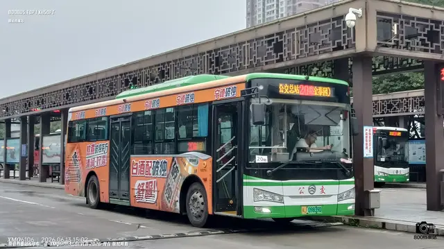 800BUS