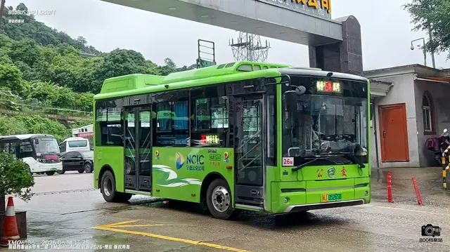 800BUS