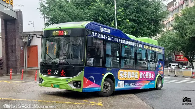 800BUS