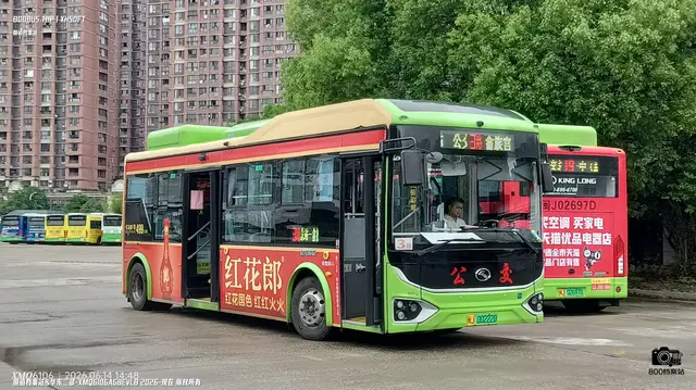 800BUS