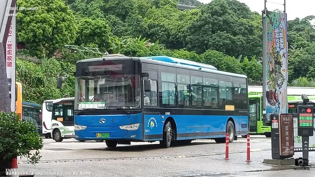 800BUS