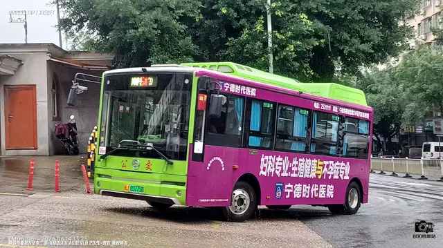 800BUS