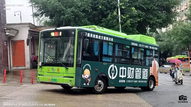 800BUS