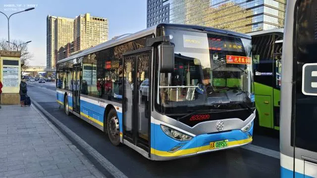 800BUS