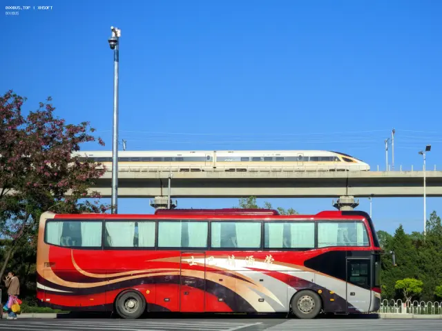 800BUS