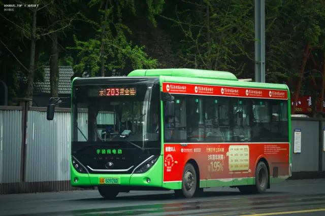 800BUS