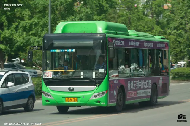 800BUS