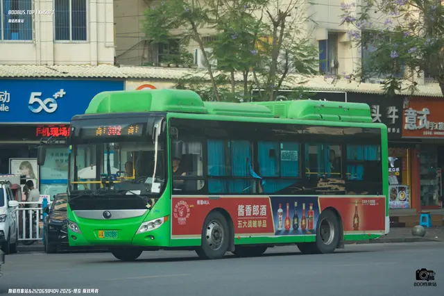 800BUS