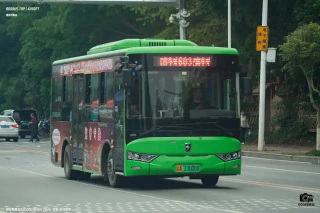 800BUS