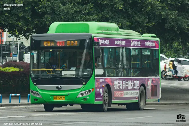 800BUS