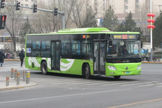 800BUS
