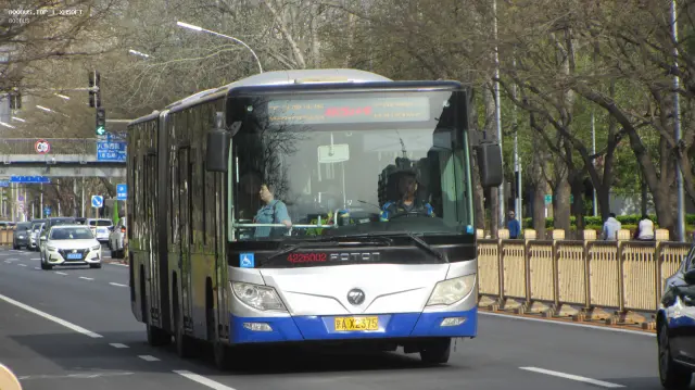 800BUS