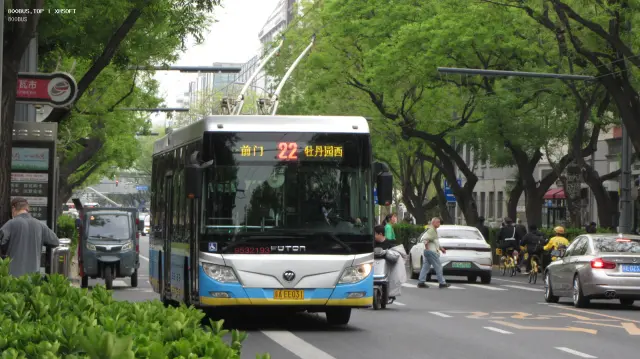 800BUS