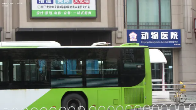 800BUS