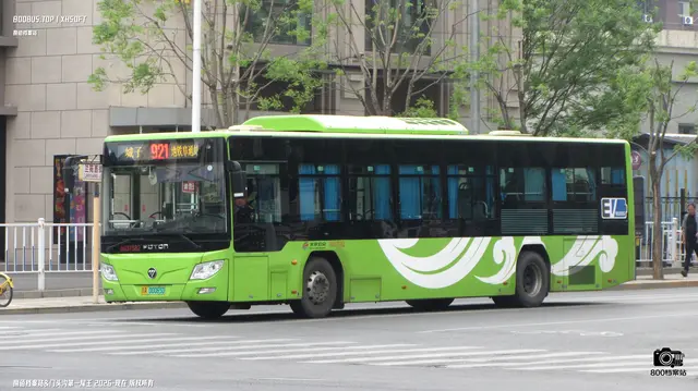800BUS