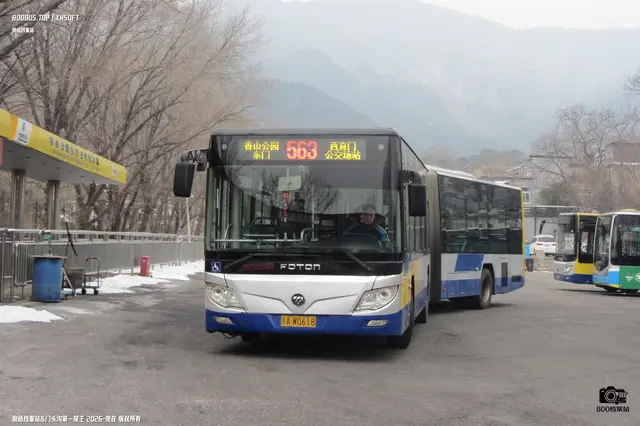 800BUS