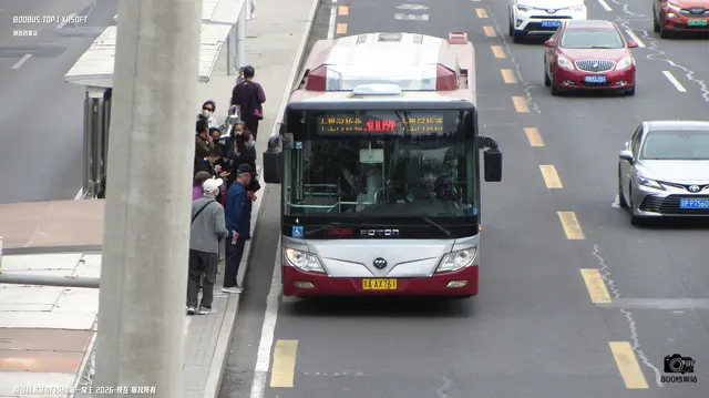 800BUS