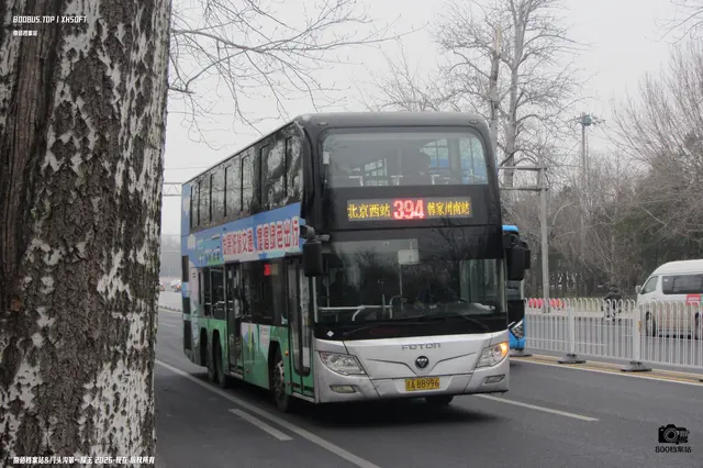 800BUS