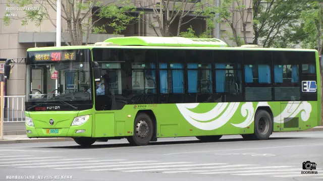 800BUS