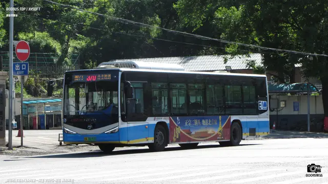 800BUS